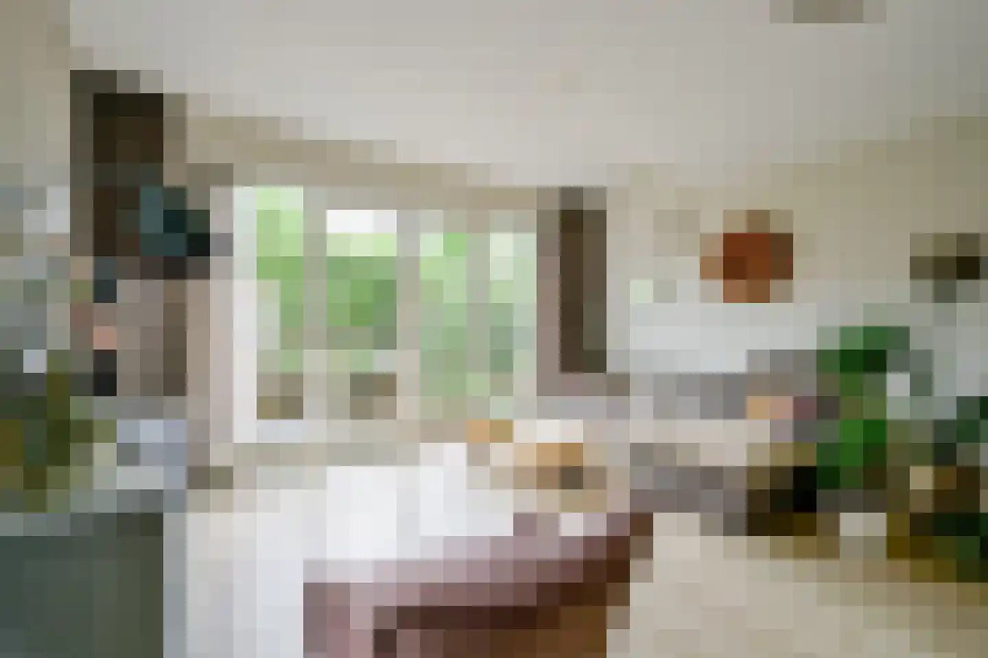 Dijkgraaf 90 Zwaag thumbnail 15