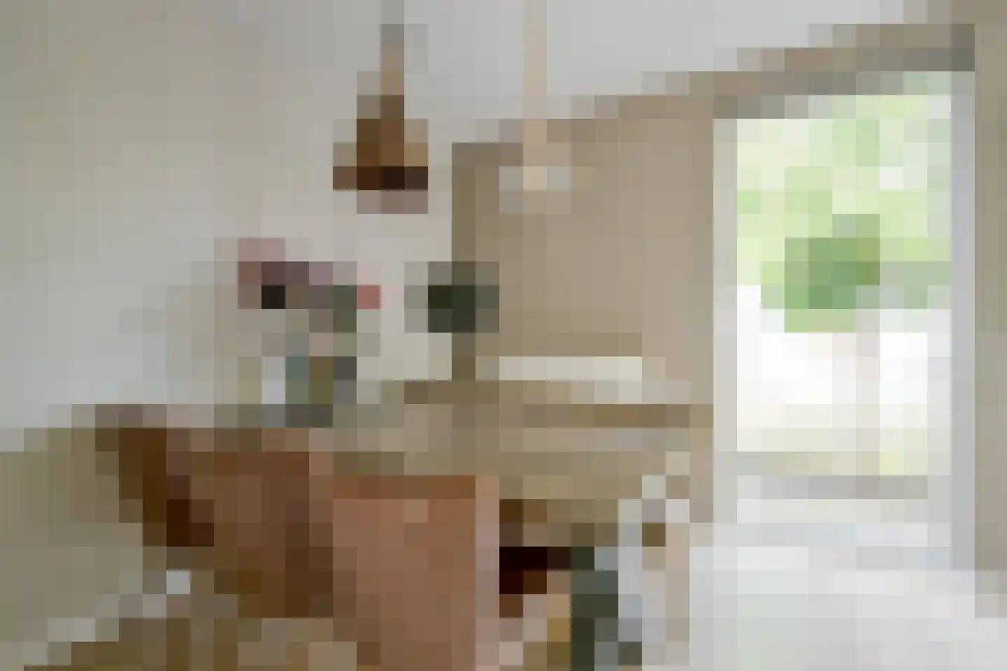 Dijkgraaf 90 Zwaag thumbnail 19