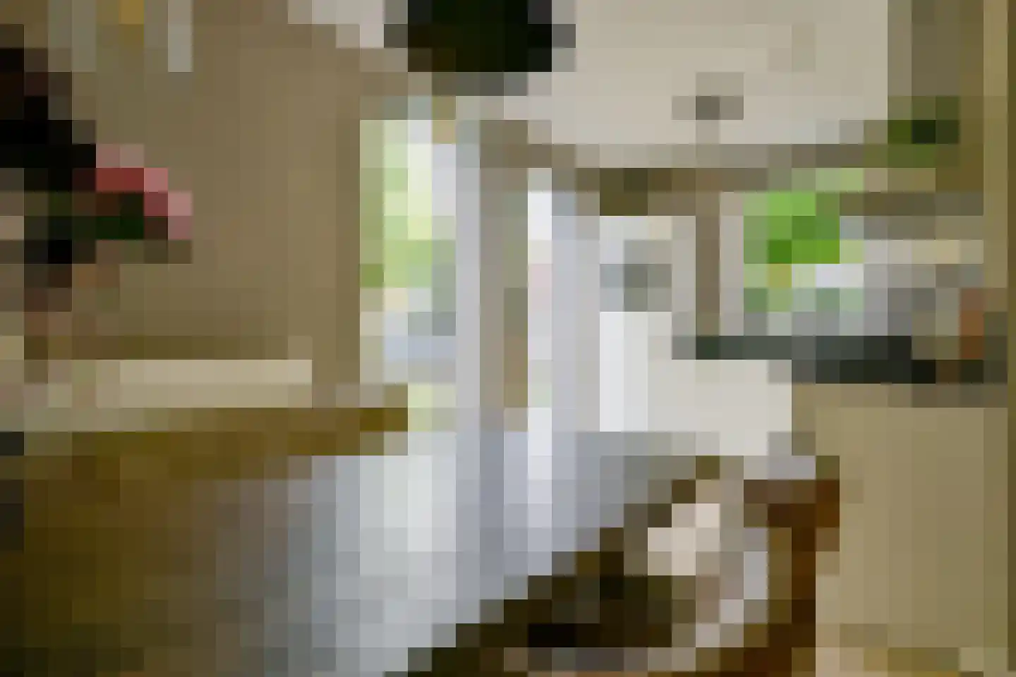 Dijkgraaf 90 Zwaag thumbnail 20
