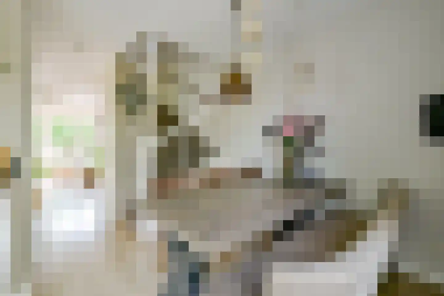 Dijkgraaf 90 Zwaag thumbnail 22