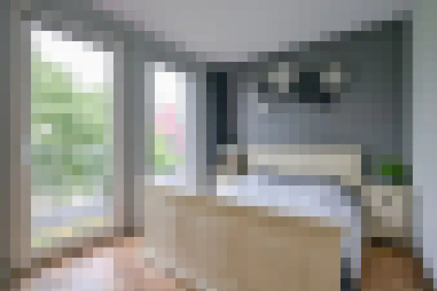 Dijkgraaf 90 Zwaag thumbnail 24