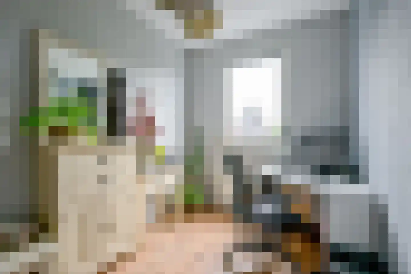 Dijkgraaf 90 Zwaag thumbnail 26