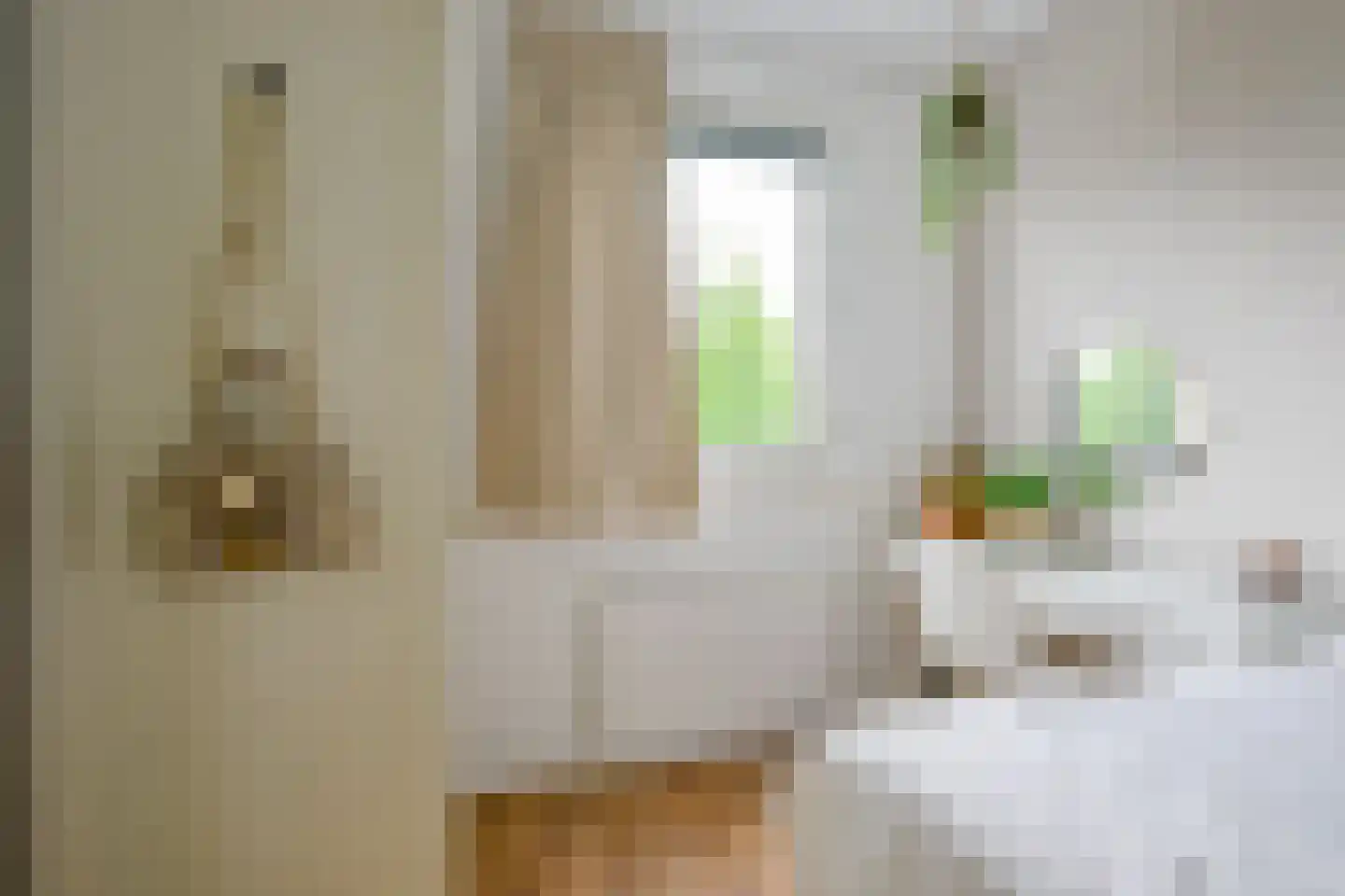 Dijkgraaf 90 Zwaag thumbnail 28