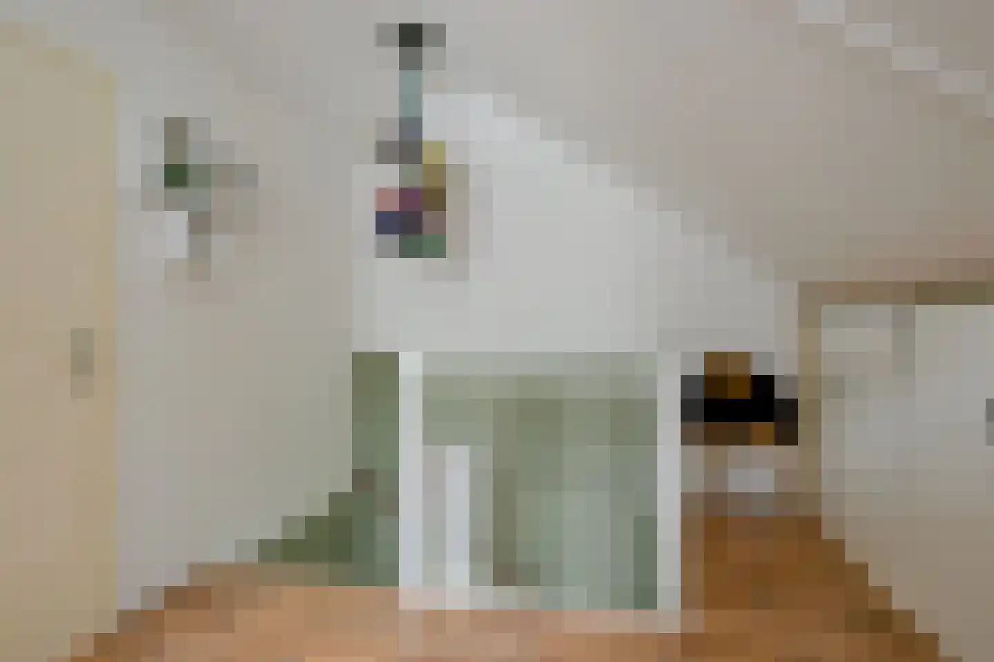 Dijkgraaf 90 Zwaag thumbnail 37