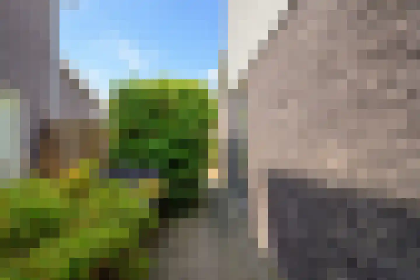 Dijkgraaf 90 Zwaag thumbnail 38