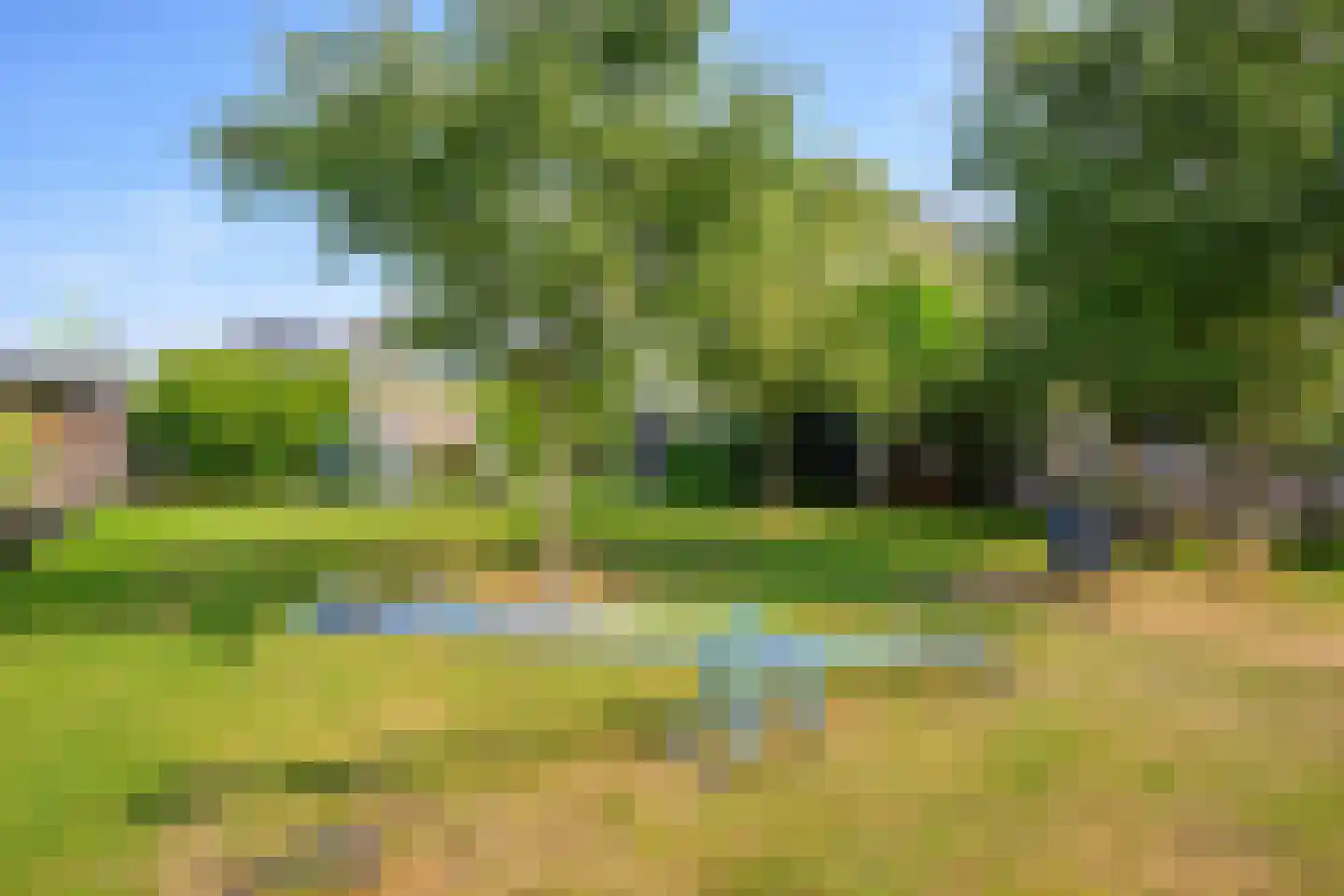 Dijkgraaf 90 Zwaag thumbnail 42