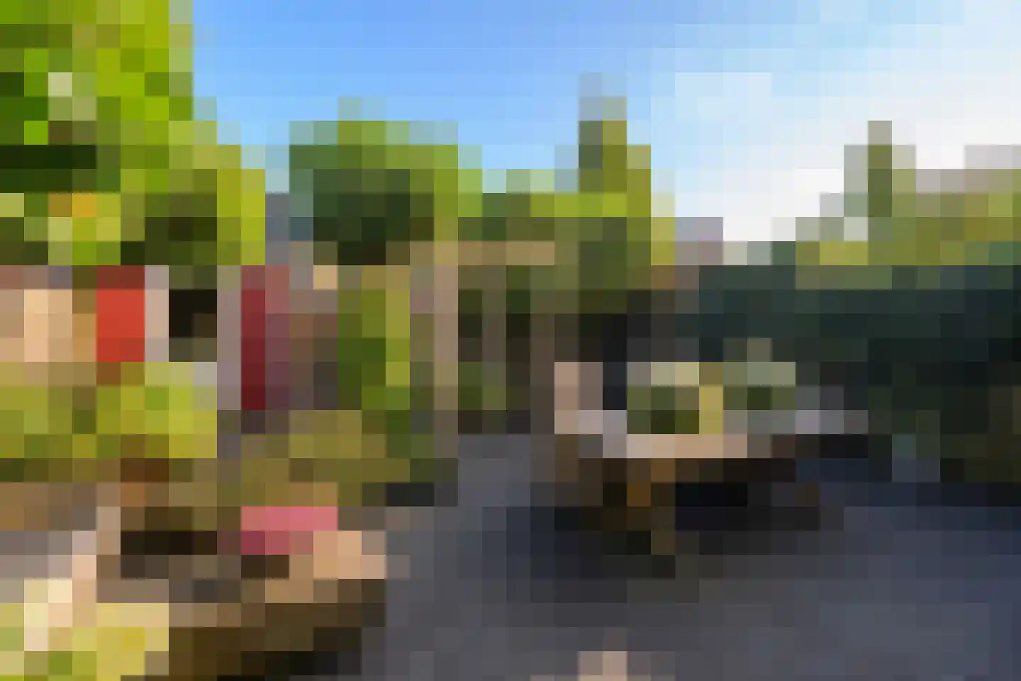 Dijkgraaf 90 Zwaag thumbnail 8
