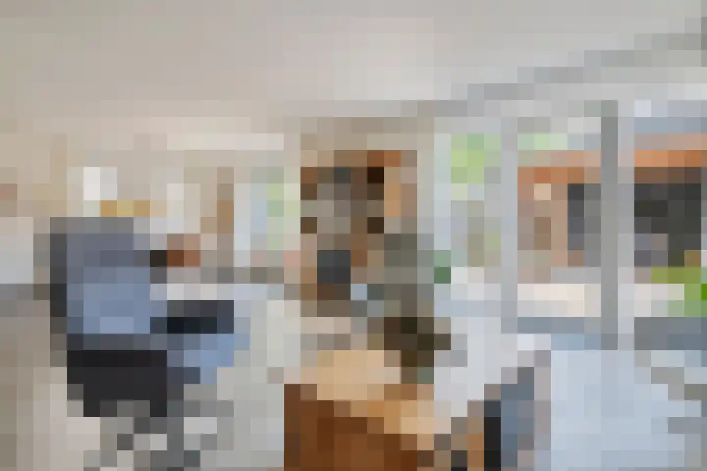 Dijkgraaf de Leeuwweg 5 Alphen thumbnail 11