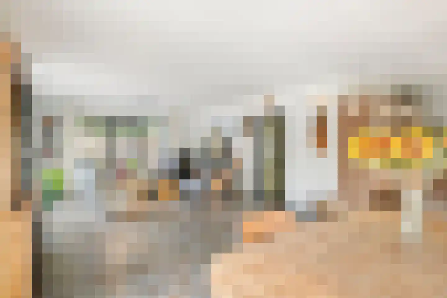Dijkgraaf de Leeuwweg 5 Alphen thumbnail 12