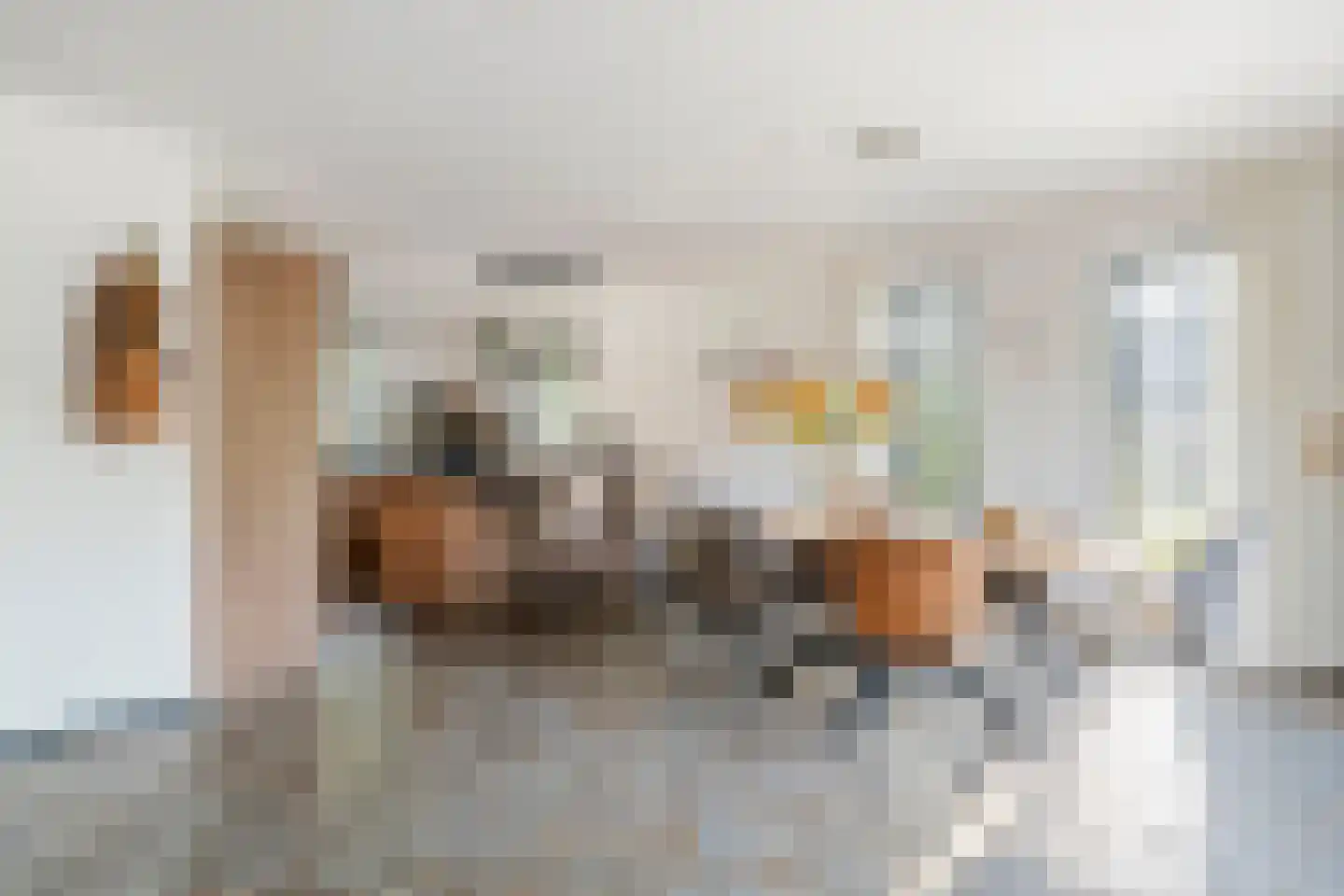 Dijkgraaf de Leeuwweg 5 Alphen thumbnail 13