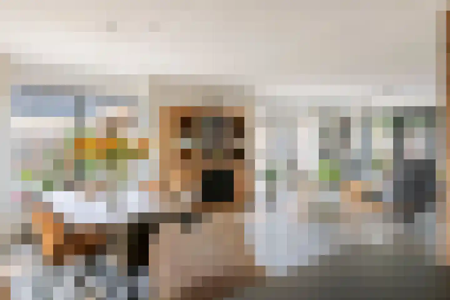 Dijkgraaf de Leeuwweg 5 Alphen thumbnail 15