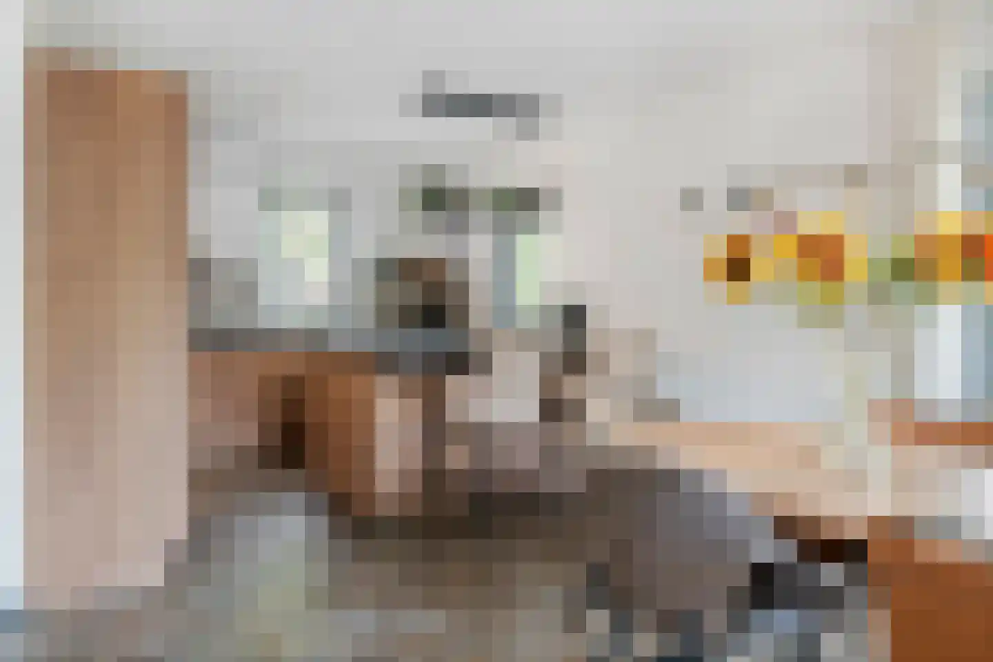 Dijkgraaf de Leeuwweg 5 Alphen thumbnail 17