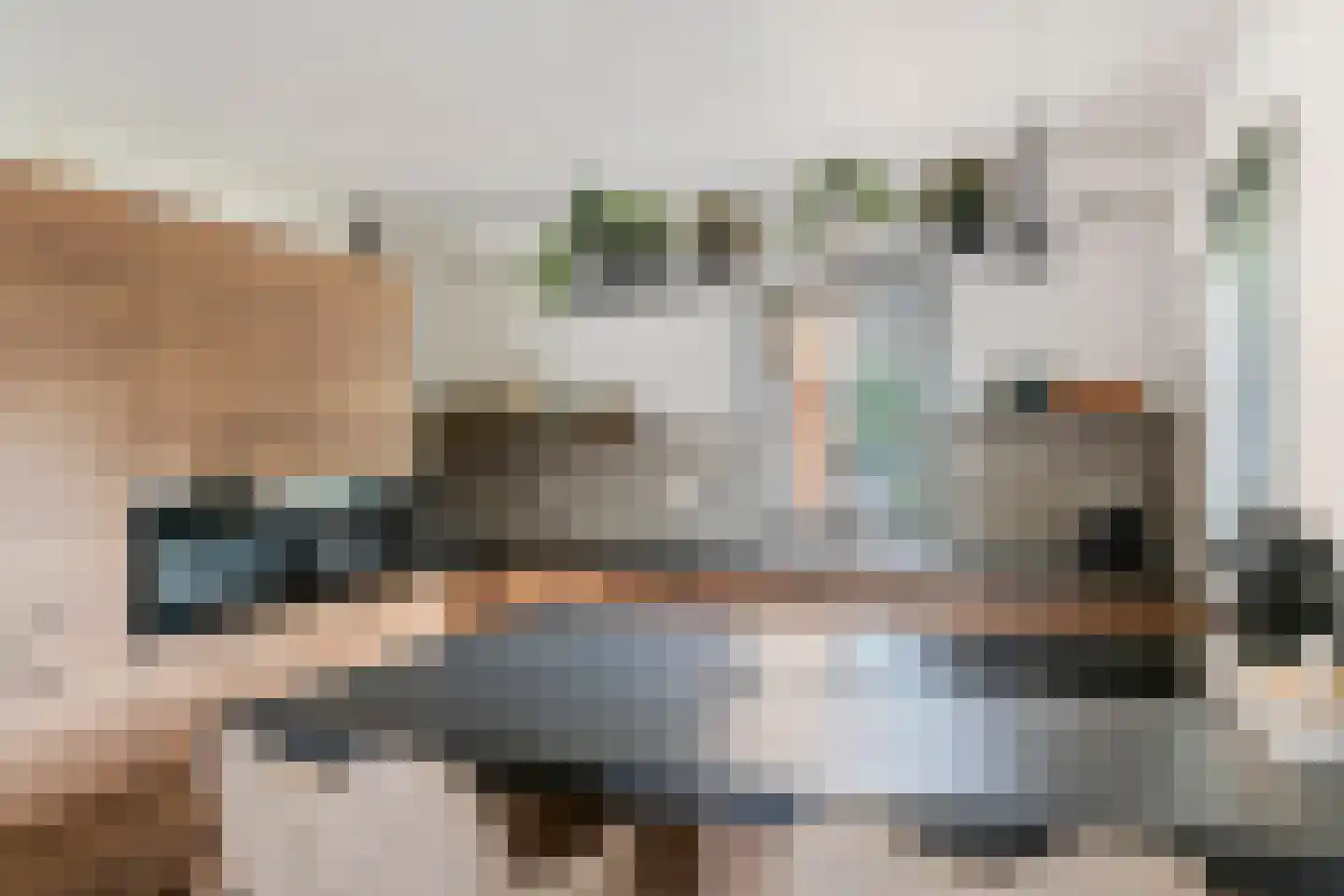 Dijkgraaf de Leeuwweg 5 Alphen thumbnail 18