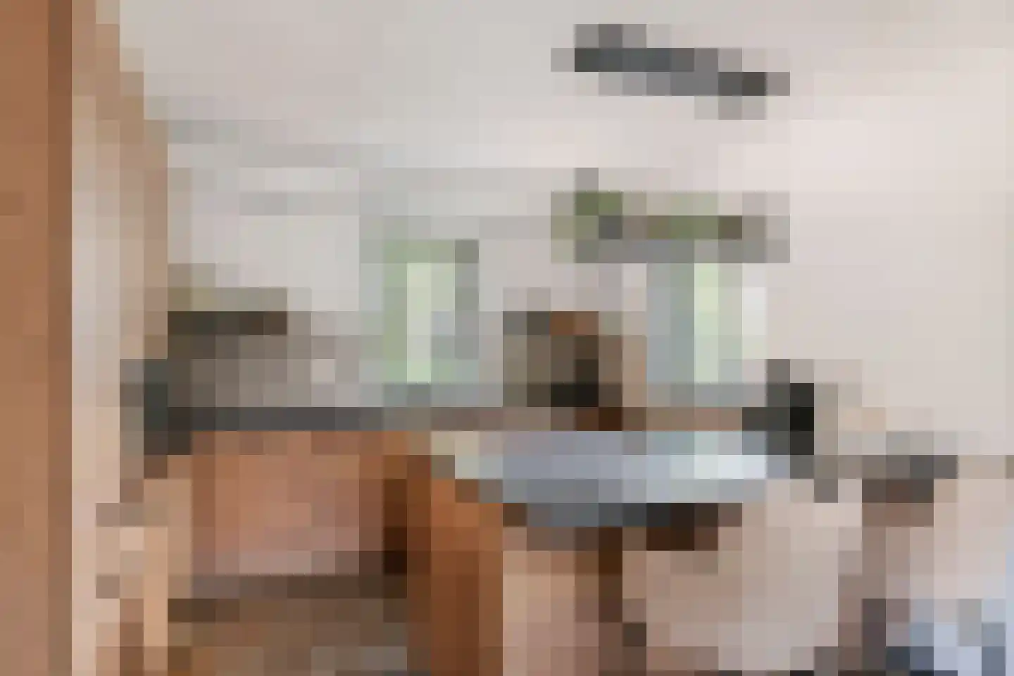 Dijkgraaf de Leeuwweg 5 Alphen thumbnail 19