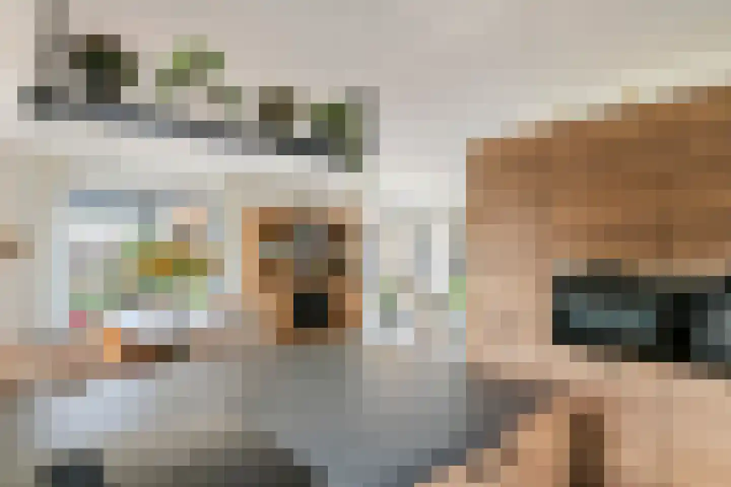 Dijkgraaf de Leeuwweg 5 Alphen thumbnail 20