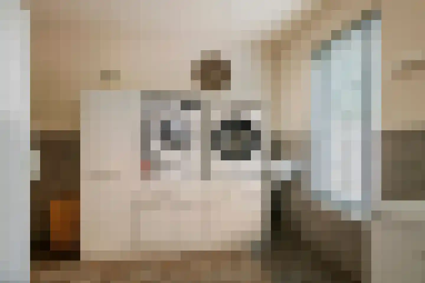 Dijkgraaf de Leeuwweg 5 Alphen thumbnail 21