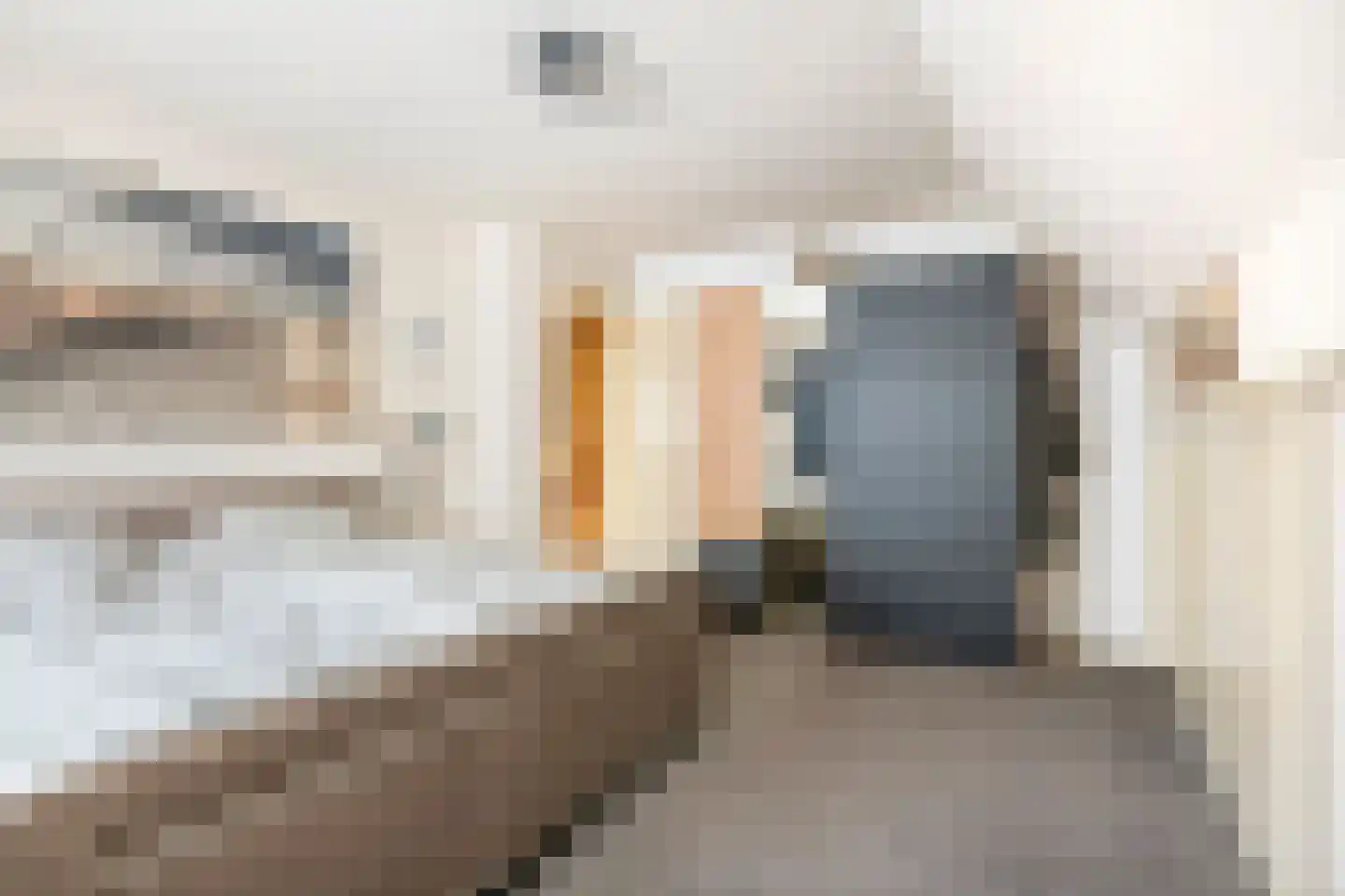 Dijkgraaf de Leeuwweg 5 Alphen thumbnail 25