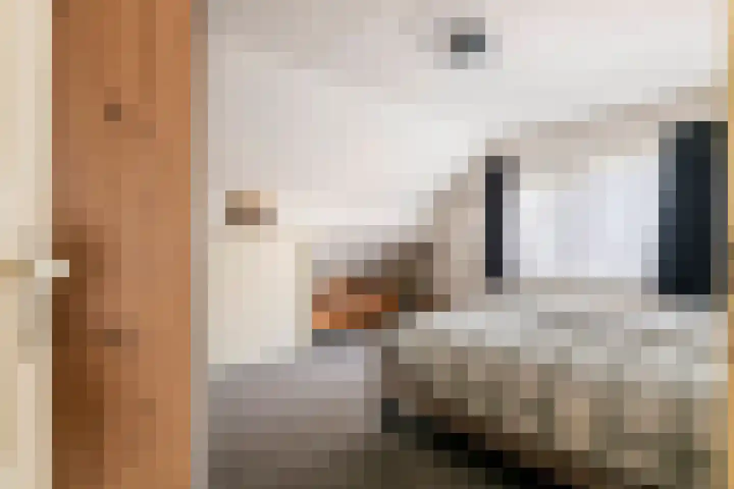 Dijkgraaf de Leeuwweg 5 Alphen thumbnail 26