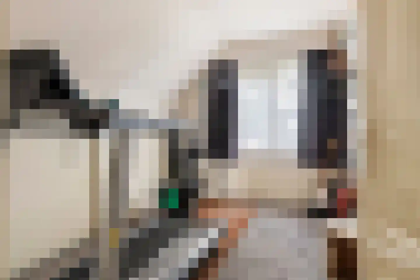 Dijkgraaf de Leeuwweg 5 Alphen thumbnail 30