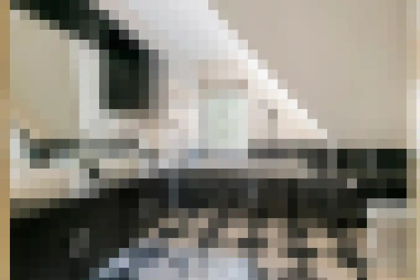 Dijkgraaf de Leeuwweg 5 Alphen thumbnail 31