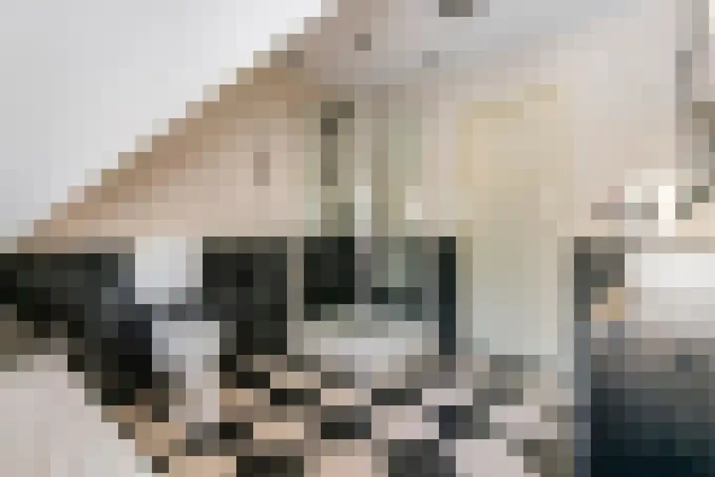 Dijkgraaf de Leeuwweg 5 Alphen thumbnail 32