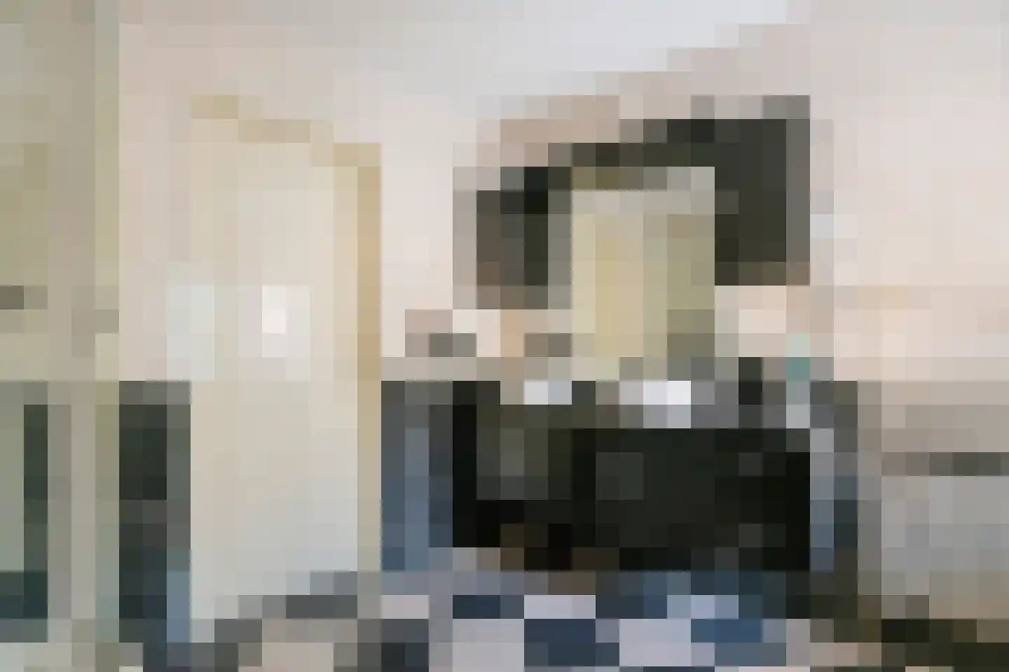Dijkgraaf de Leeuwweg 5 Alphen thumbnail 33