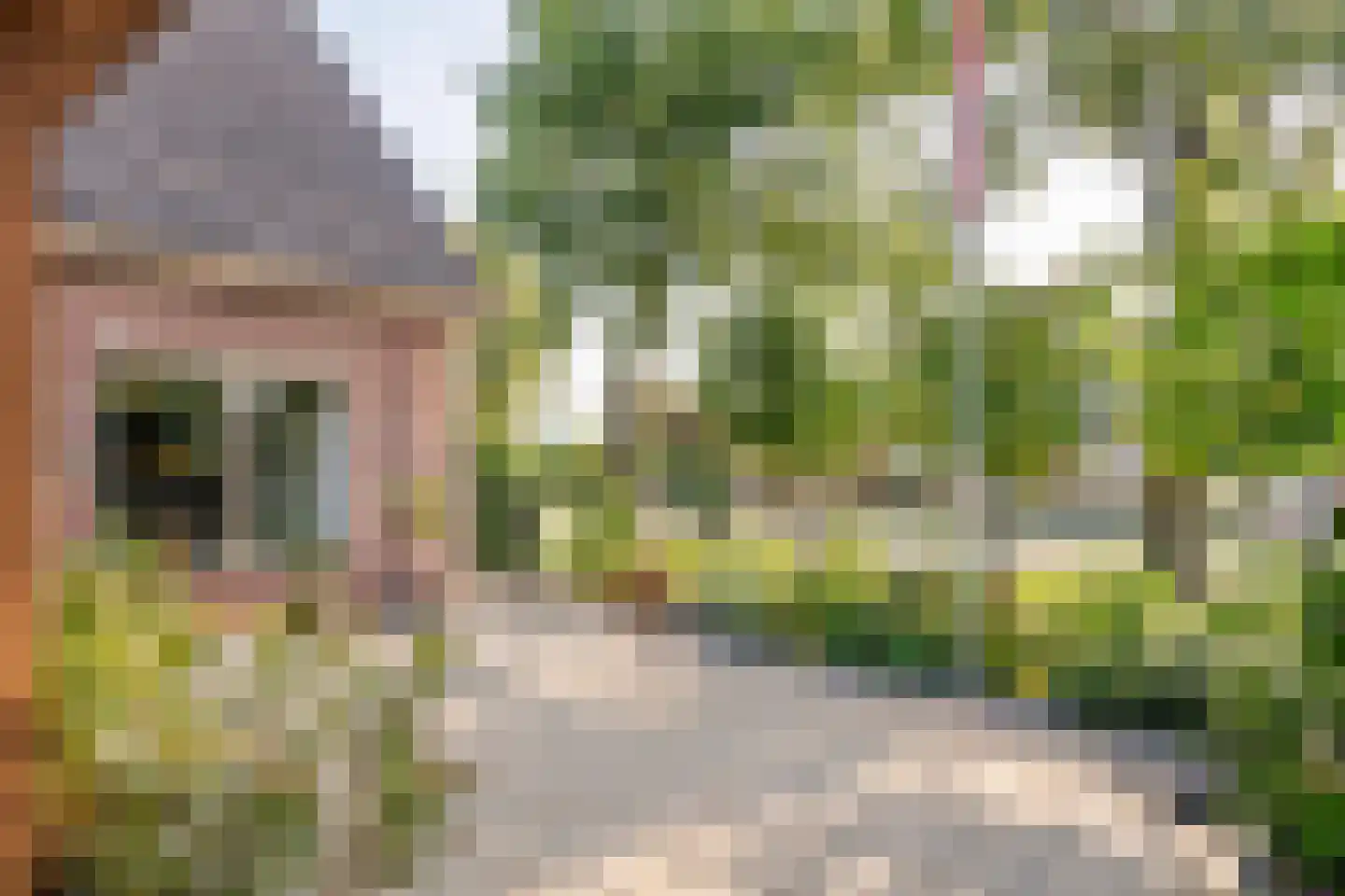 Dijkgraaf de Leeuwweg 5 Alphen thumbnail 35