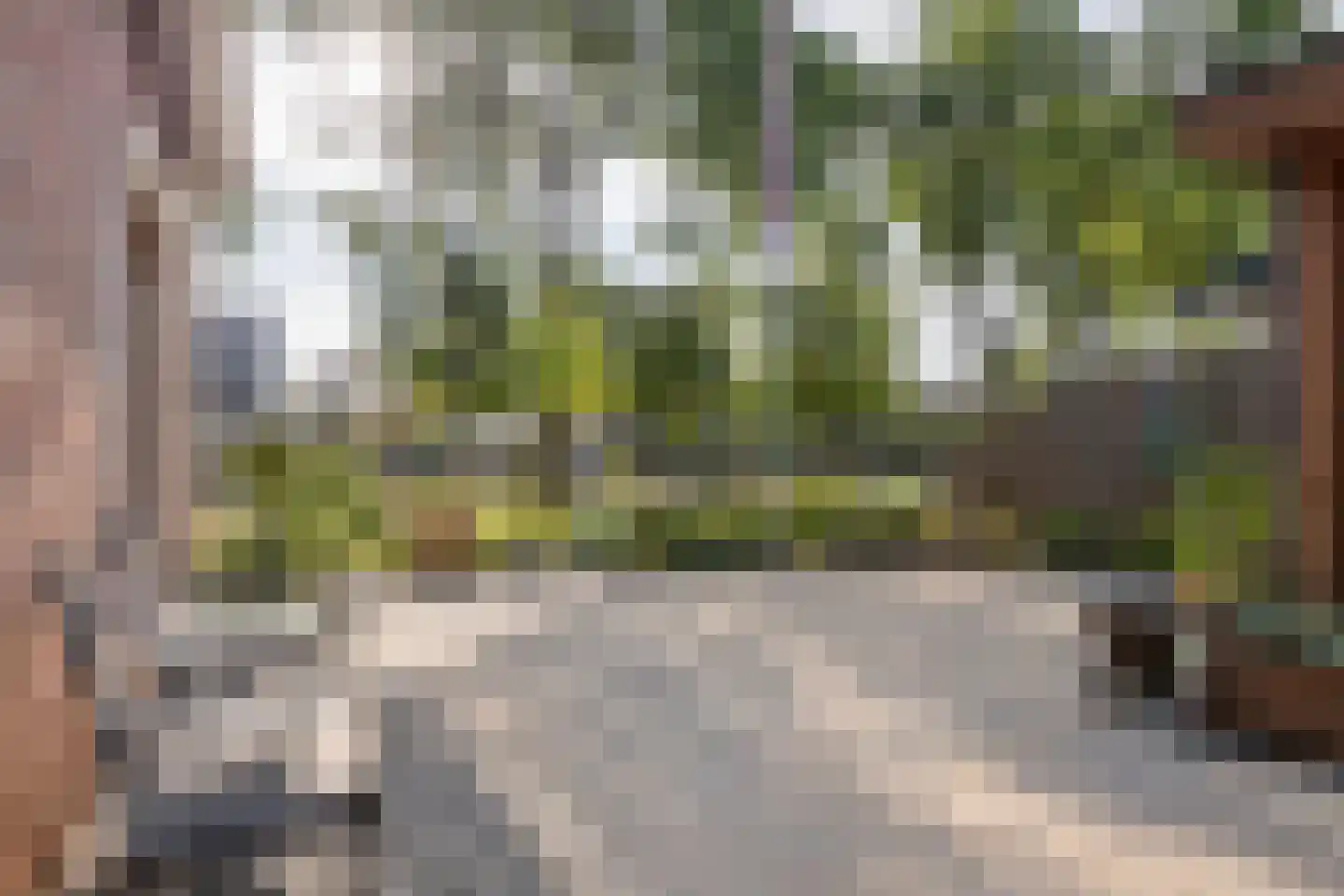 Dijkgraaf de Leeuwweg 5 Alphen thumbnail 36