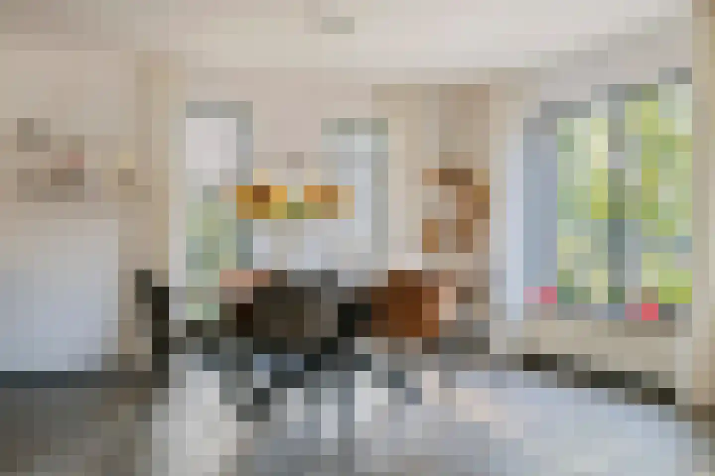 Dijkgraaf de Leeuwweg 5 Alphen thumbnail 5