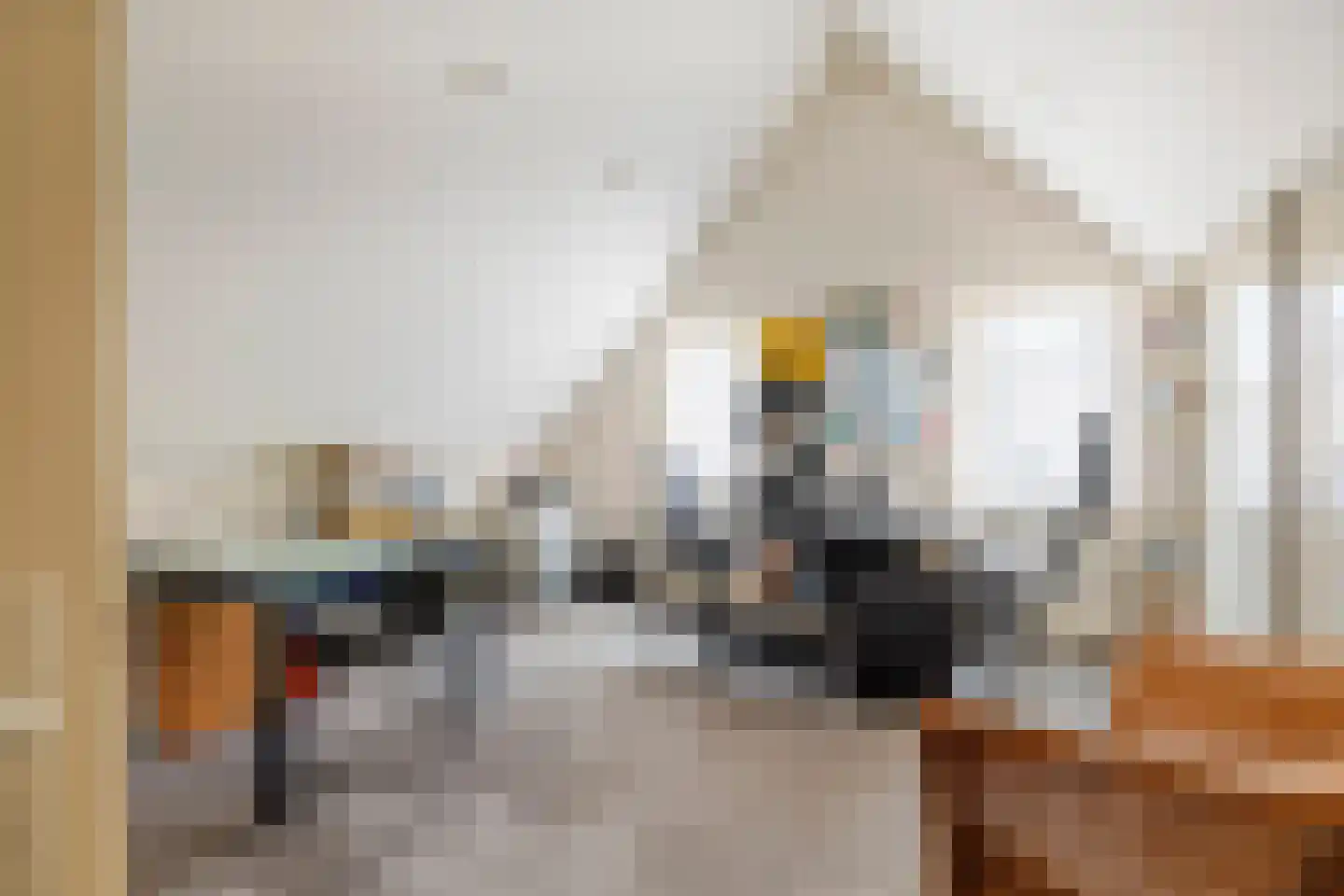 Dijkgraaf de Leeuwweg 5 Alphen thumbnail 6