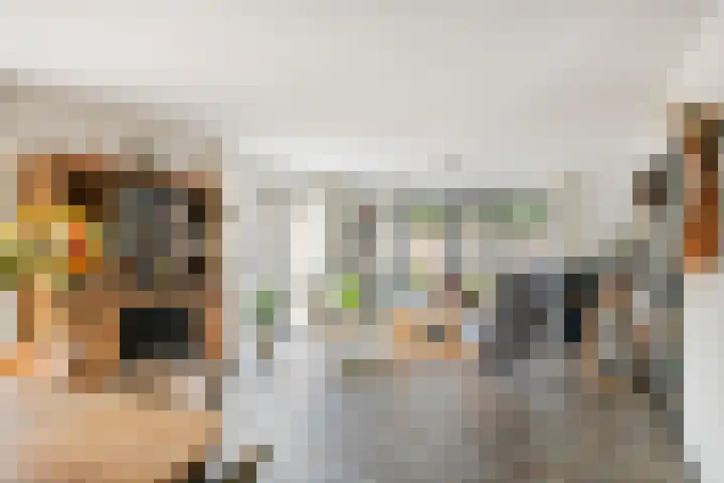 Dijkgraaf de Leeuwweg 5 Alphen thumbnail 8