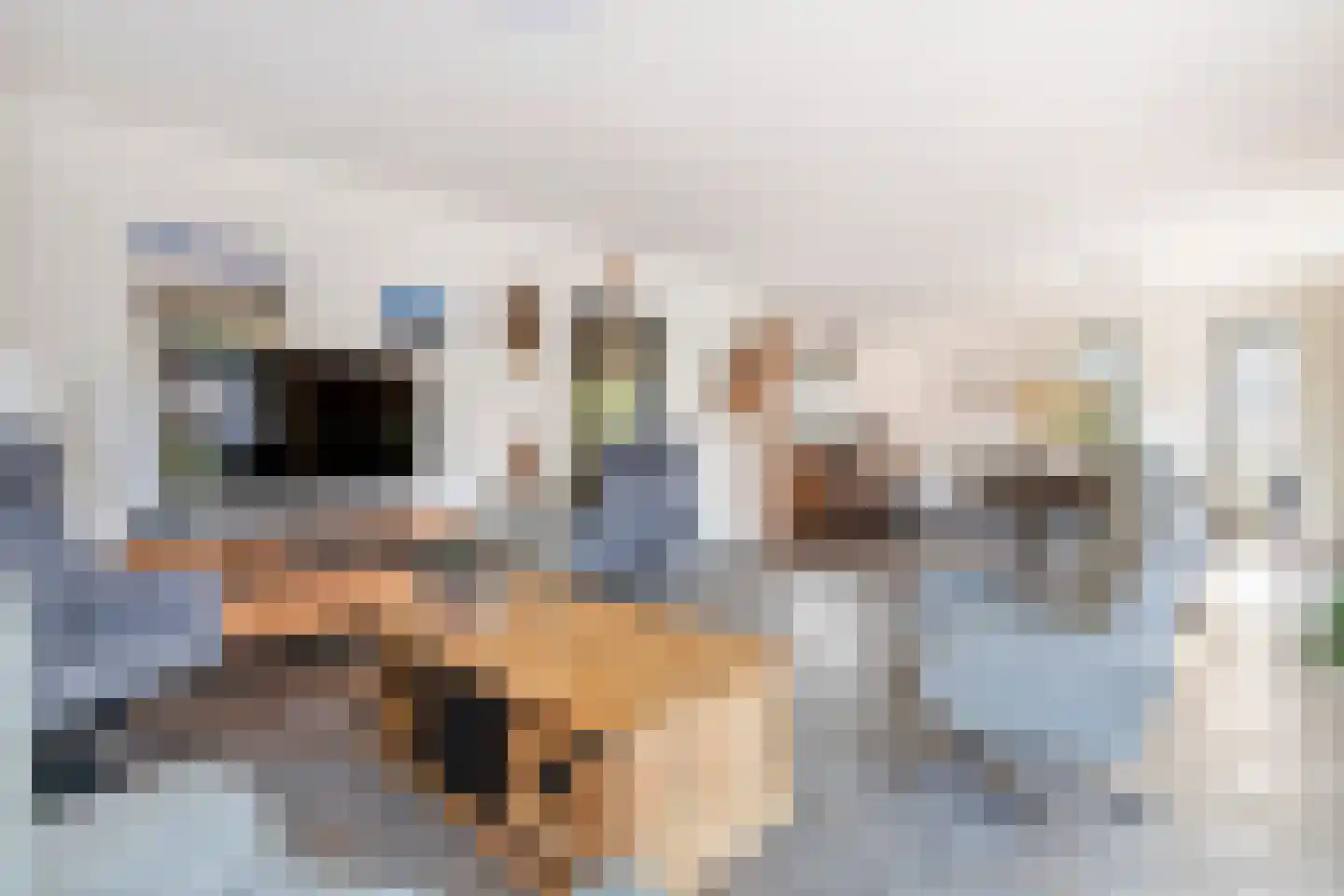 Dijkgraaf de Leeuwweg 5 Alphen thumbnail 9