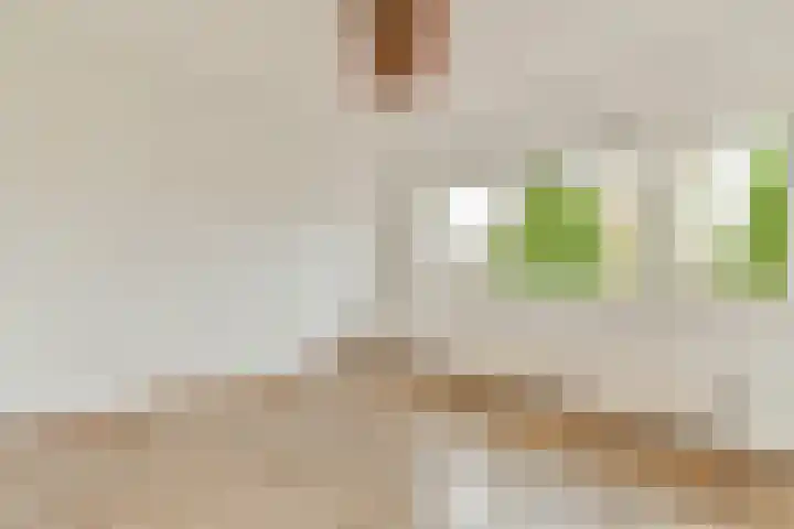 Dijkgraaf Grootweg 6 Andijk thumbnail 17