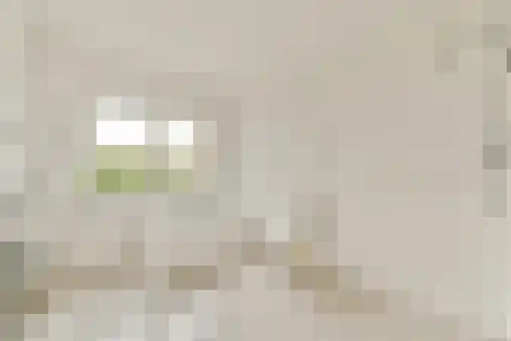 Dijkgraaf Grootweg 6 Andijk thumbnail 19