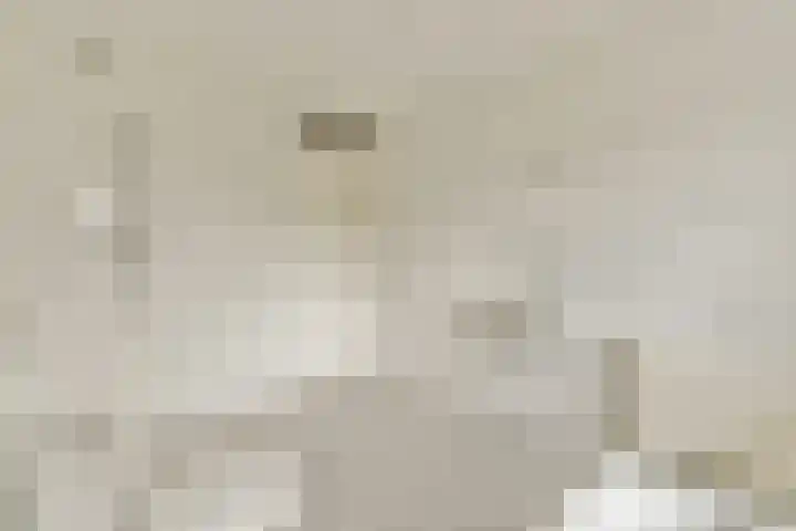 Dijkgraaf Grootweg 6 Andijk thumbnail 20