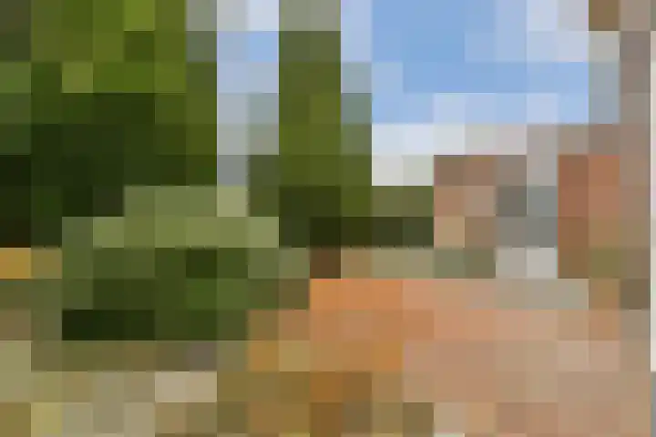 Dijkgraaf Grootweg 6 Andijk thumbnail 25