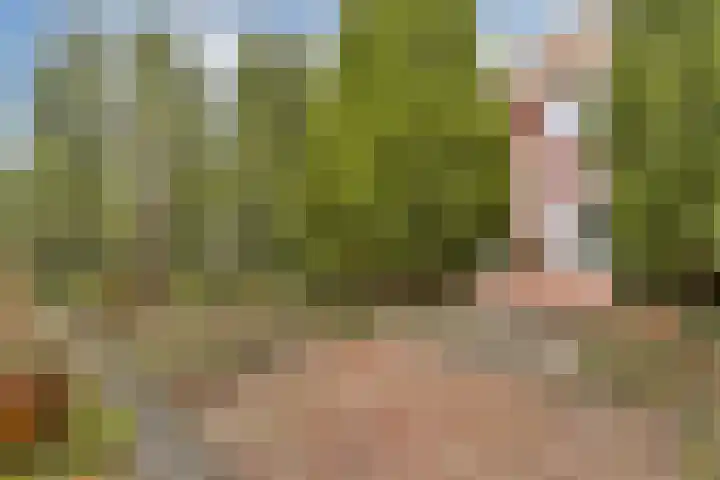 Dijkgraaf Grootweg 6 Andijk thumbnail 27