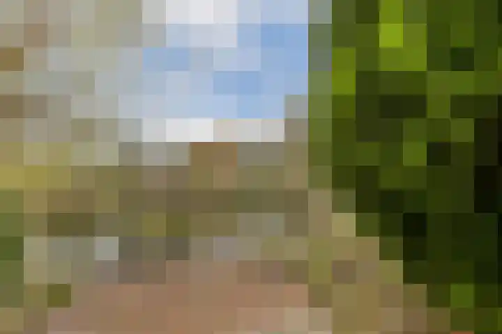 Dijkgraaf Grootweg 6 Andijk thumbnail 28