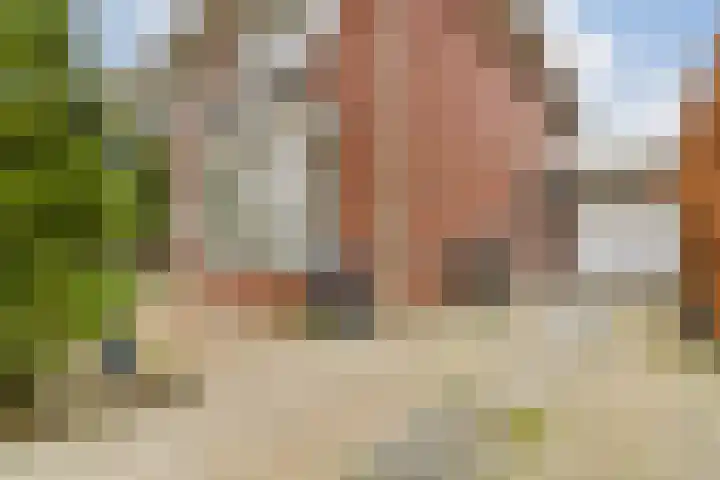 Dijkgraaf Grootweg 6 Andijk thumbnail 29
