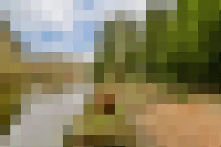 Dijkgraaf Grootweg 6 Andijk thumbnail 4