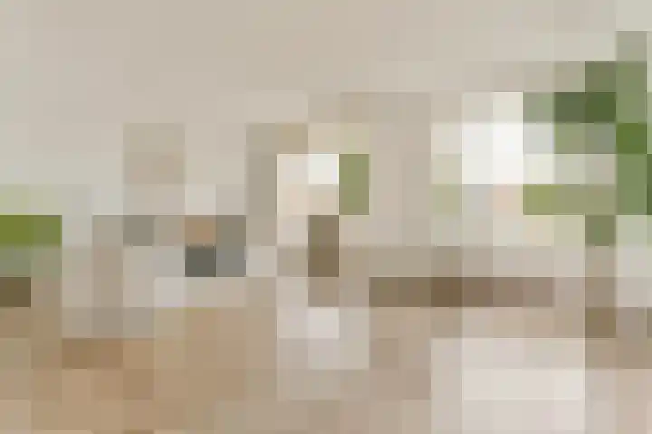 Dijkgraaf Grootweg 6 Andijk thumbnail 5