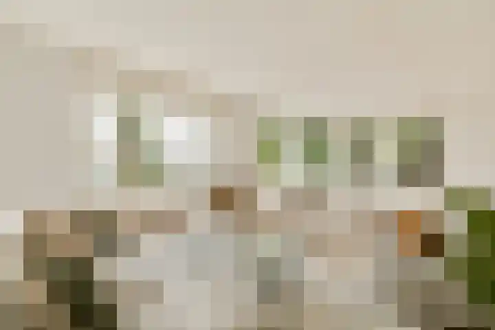 Dijkgraaf Grootweg 6 Andijk thumbnail 6