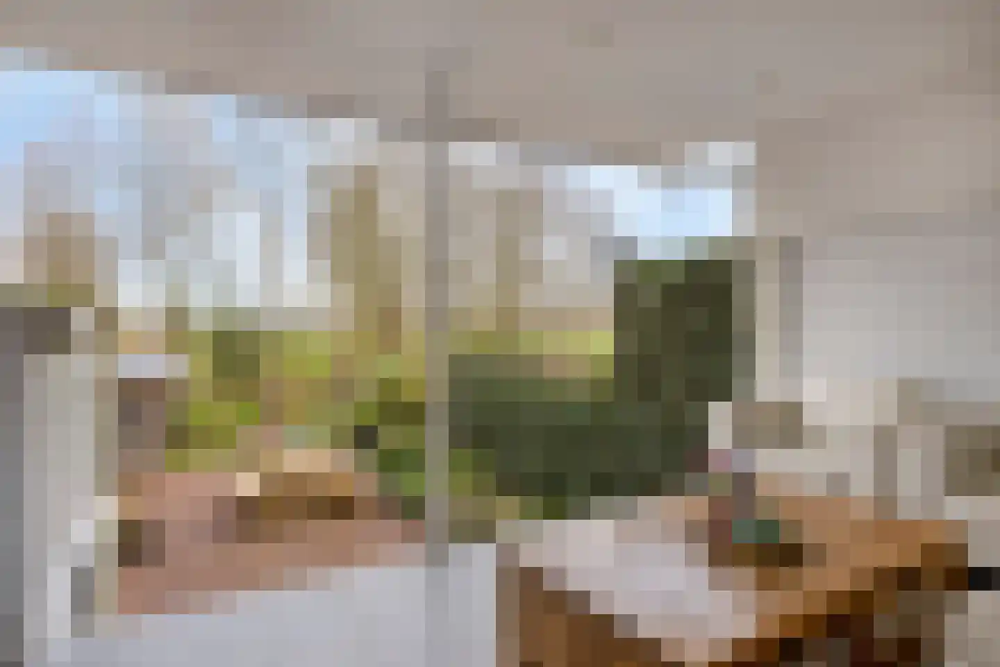 Dijkgraaflaan 100 Oudewater thumbnail 12
