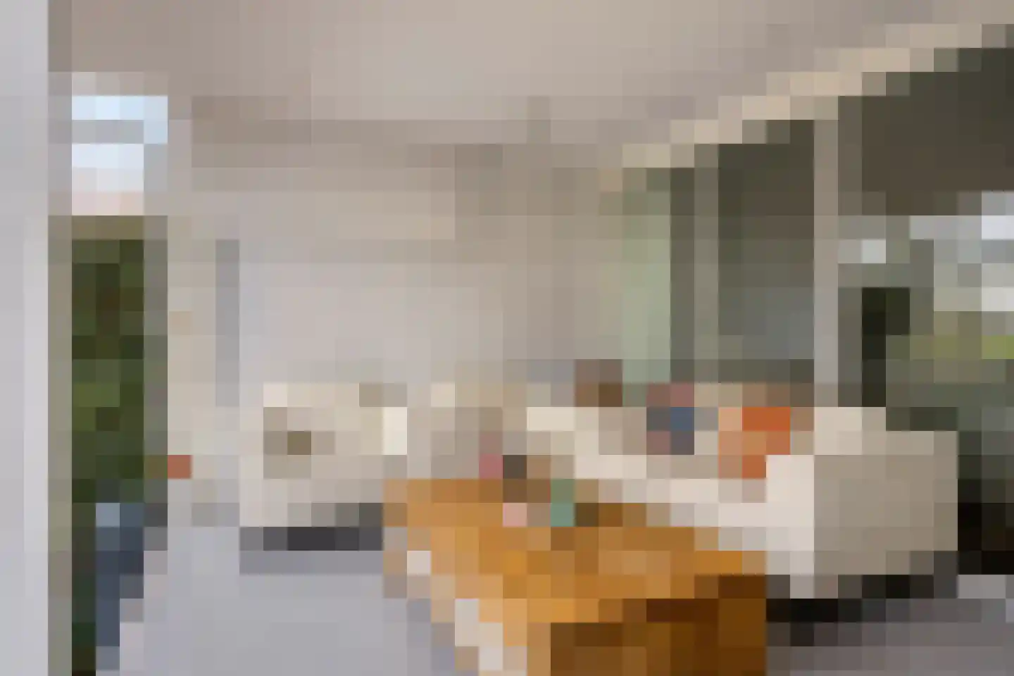 Dijkgraaflaan 100 Oudewater thumbnail 13