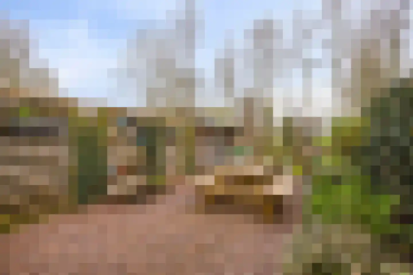 Dijkgraaflaan 100 Oudewater thumbnail 14