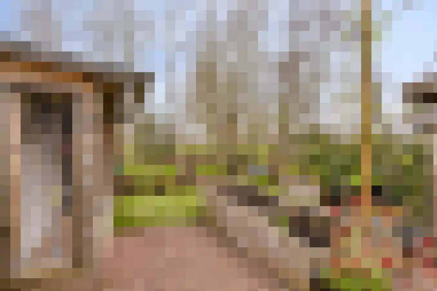 Dijkgraaflaan 100 Oudewater thumbnail 15