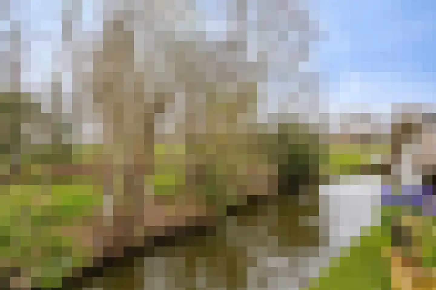 Dijkgraaflaan 100 Oudewater thumbnail 16