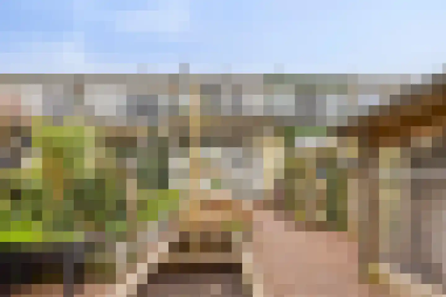 Dijkgraaflaan 100 Oudewater thumbnail 17