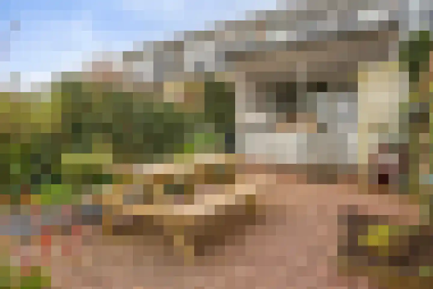 Dijkgraaflaan 100 Oudewater thumbnail 18