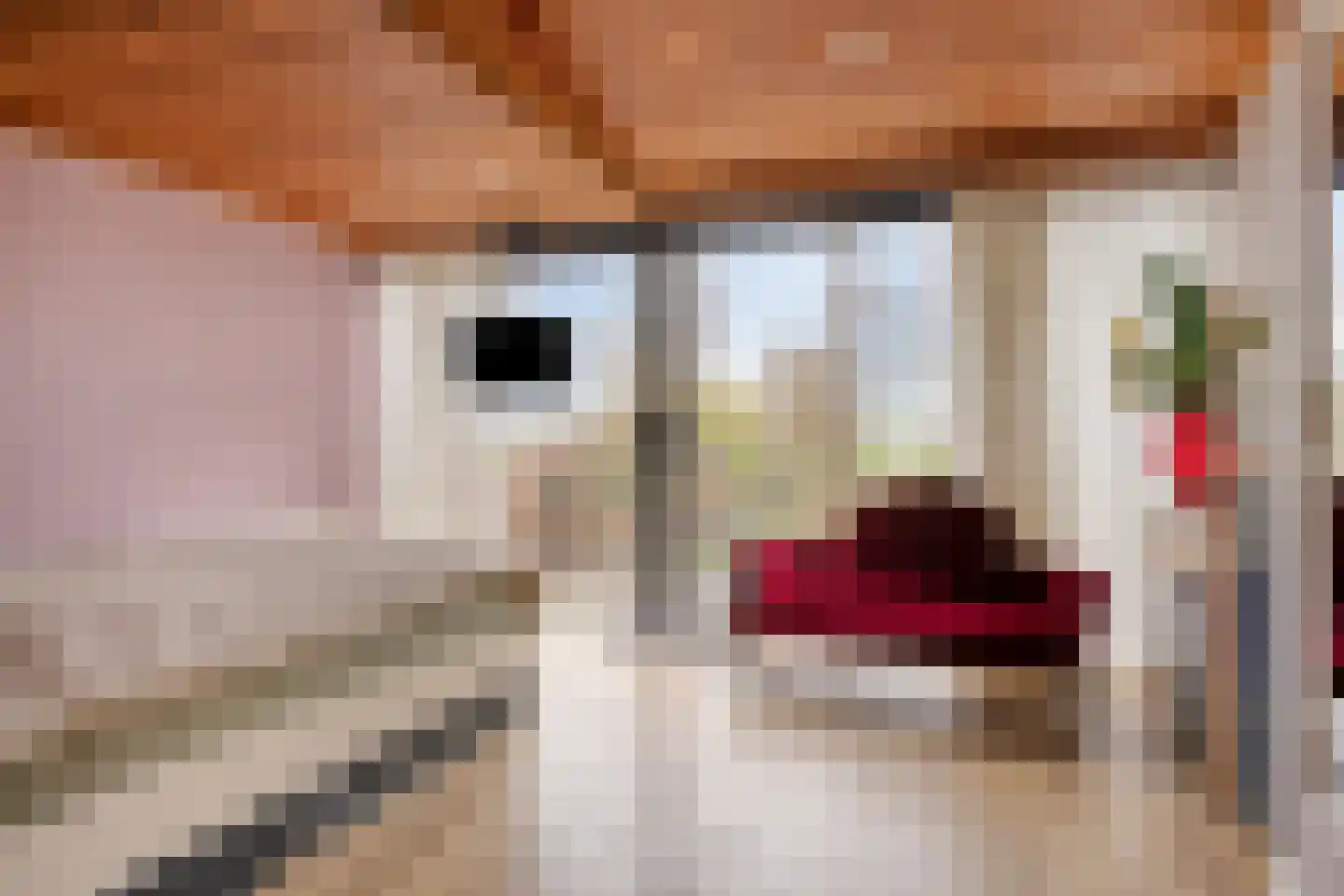 Dijkgraaflaan 100 Oudewater thumbnail 20